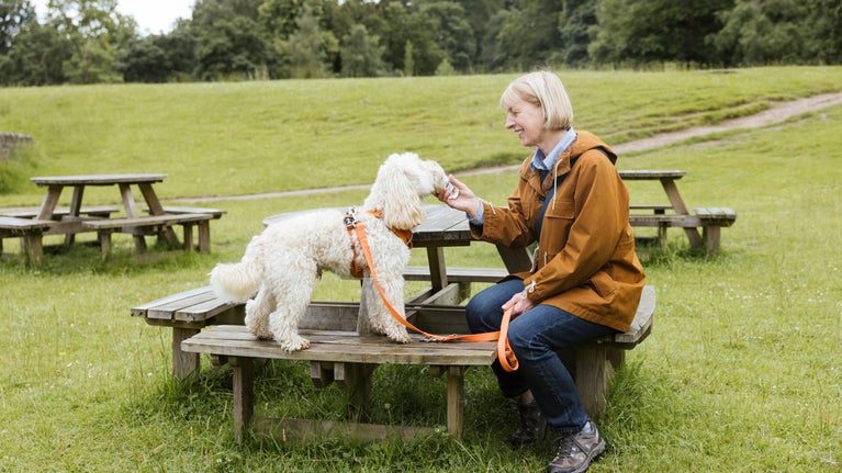 A dog walker and dog having doggy ice cream at the Muddy Paws café at Lyme, Cheshire
